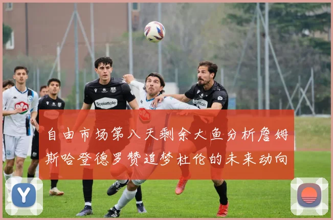 自由市场第八天剩余大鱼分析詹姆斯哈登德罗赞追梦杜伦的未来动向